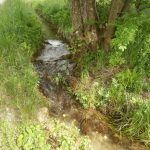 Bachlauf