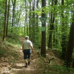 Wanderer im Wald